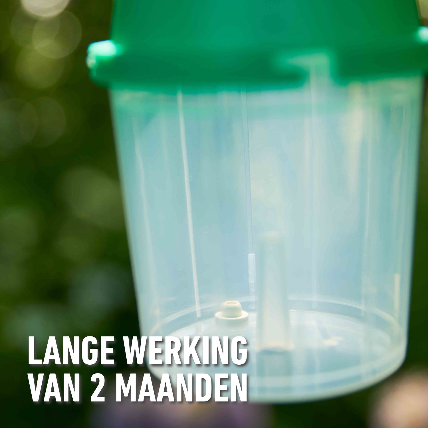 Compo-bio-buxusmot-val-navullingen-3-stuks