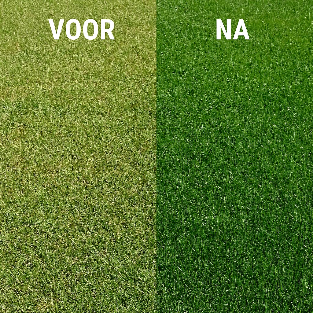 Famiflora lawn fertilizer 20 kg for 400m² - All-in-One