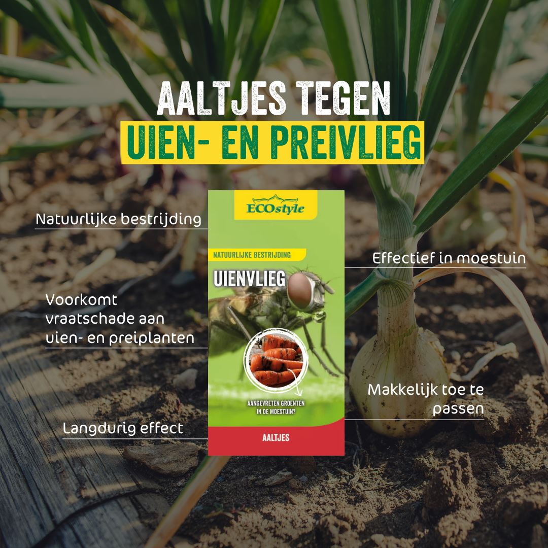 Aaltjes-FC-tegen-larven-uienvlieg-10-mln-60-m2