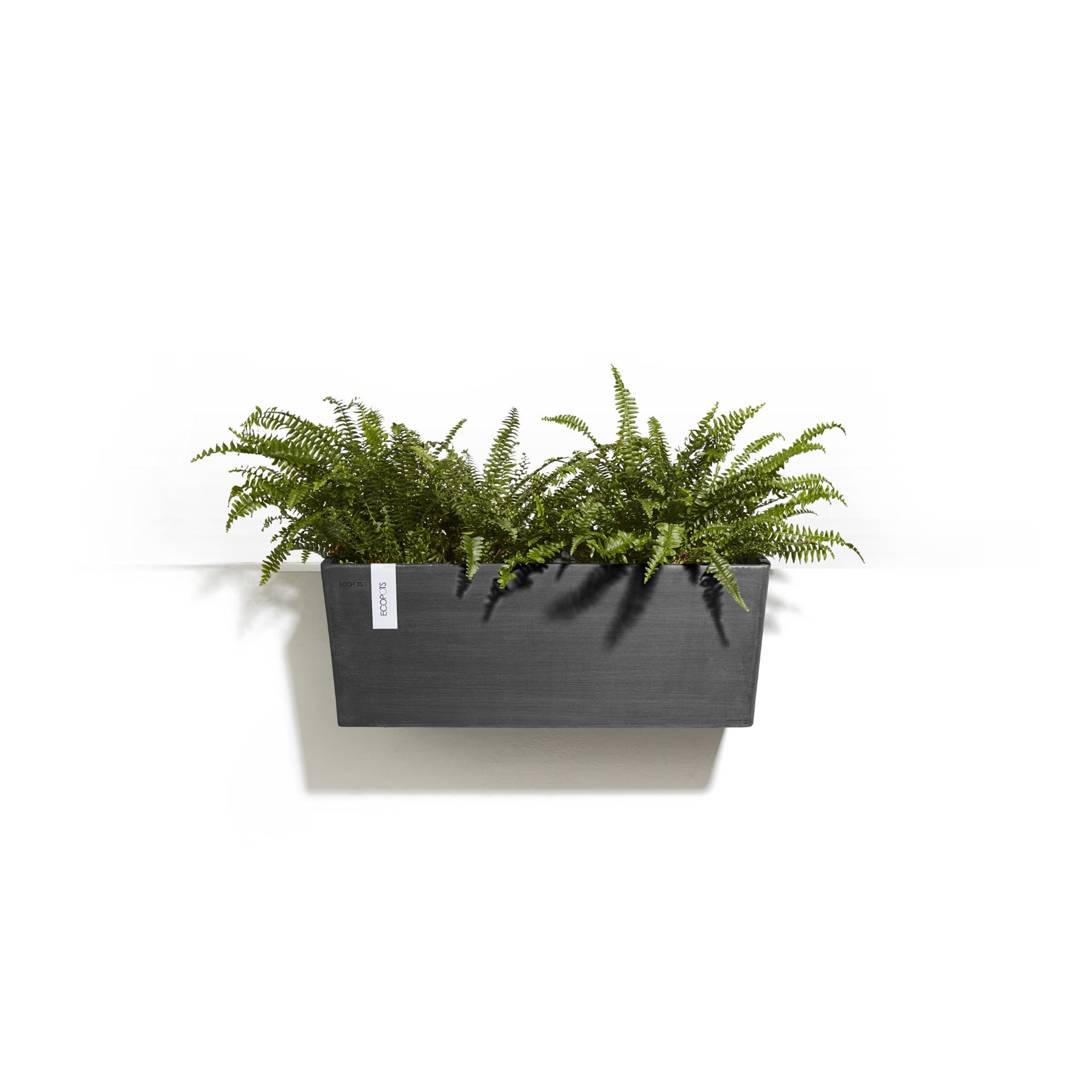 Ecopots-bruges-hanging-dark-grey-LBH-55x20x21-cm-incl-waterreservoir