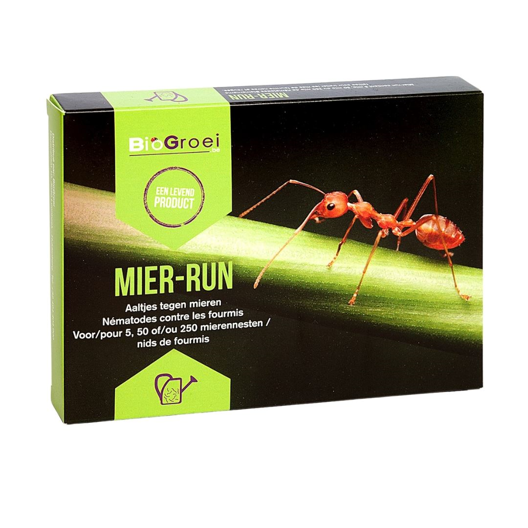 Ant-run 50m² against black and red ants