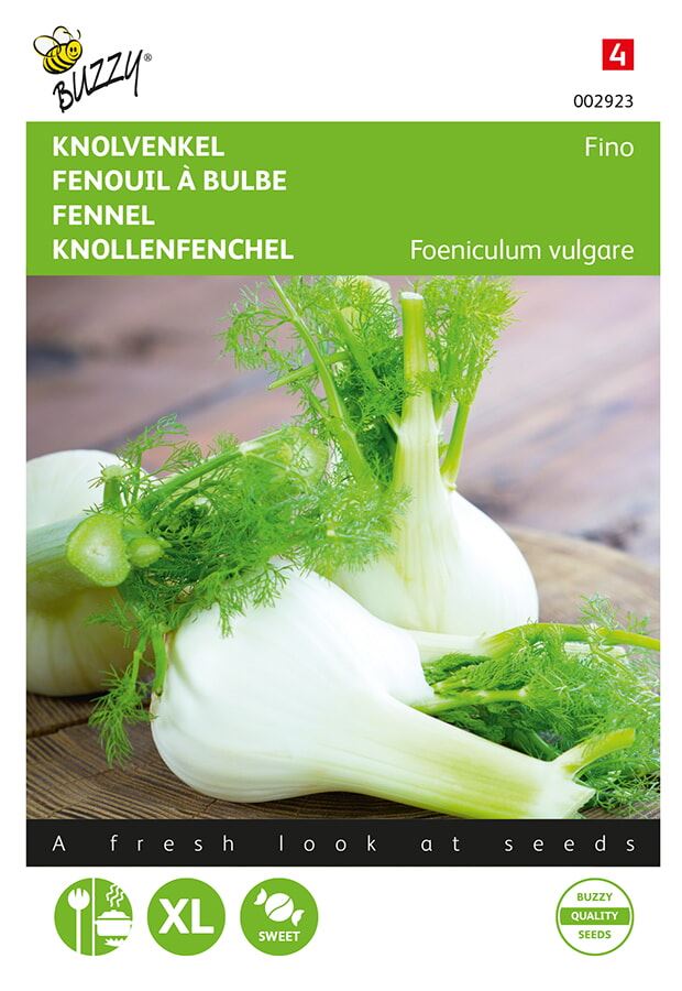 Fennel (Zefa) Fino