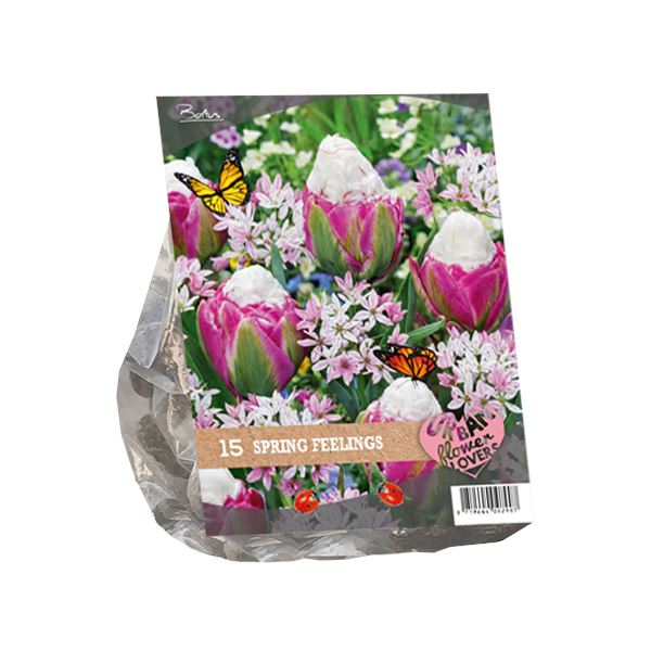 Urban-Flowers-Spring-Feelings-per-15