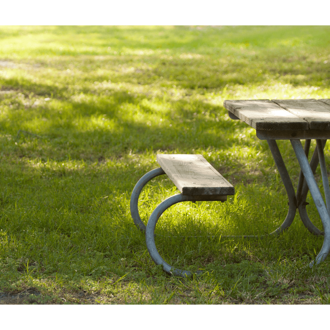 lawn in shade with bench