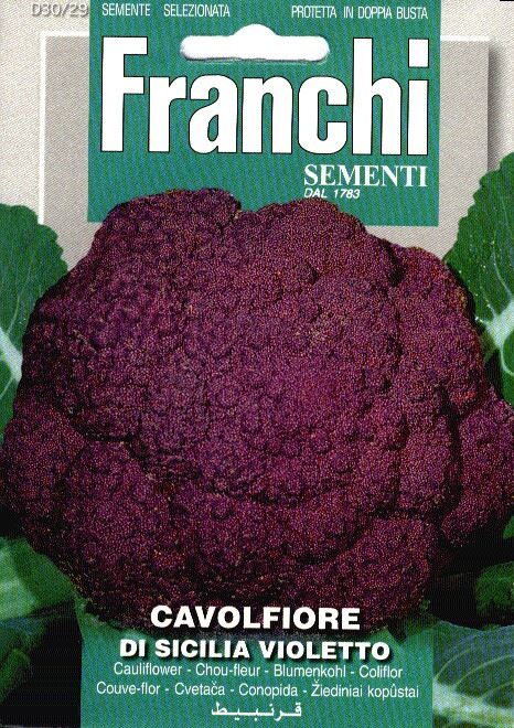 Cavolfiore Sicilia Violetto - Violet chou-fleur