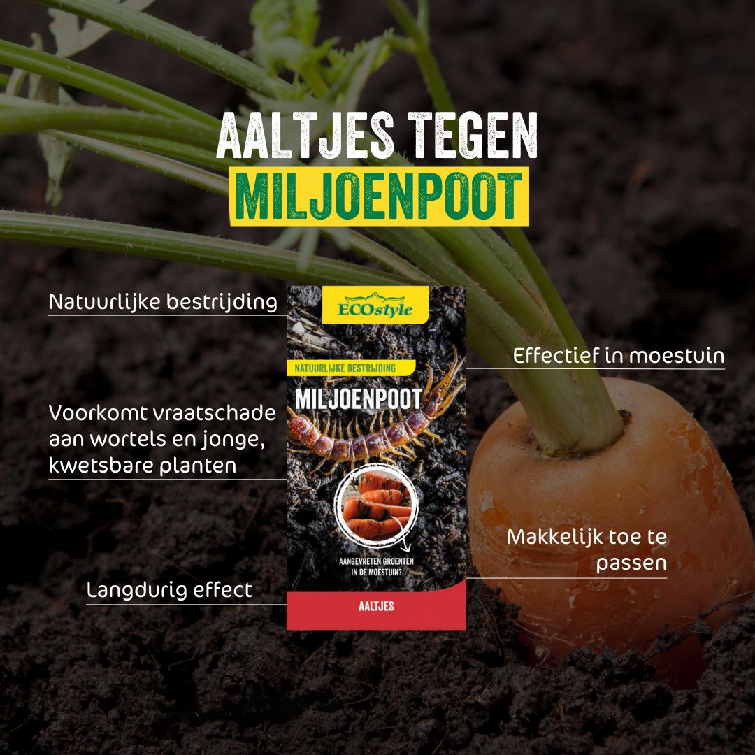 Aaltjes-FC-tegen-miljoenpoot-10-mln-60-m2