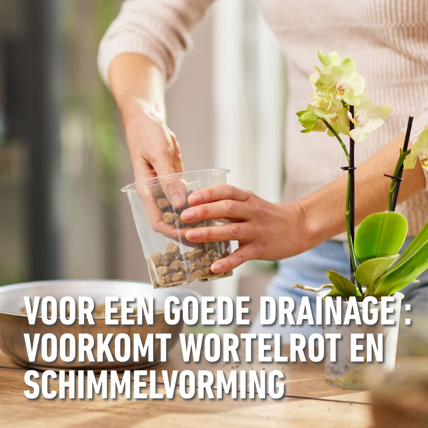 Granuplant-Orchideeen-3L