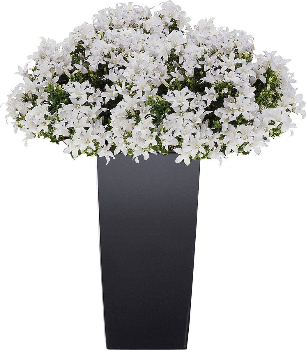 Flower-pot-Urbi-square-anthracite-19-x-19-x-37-cm