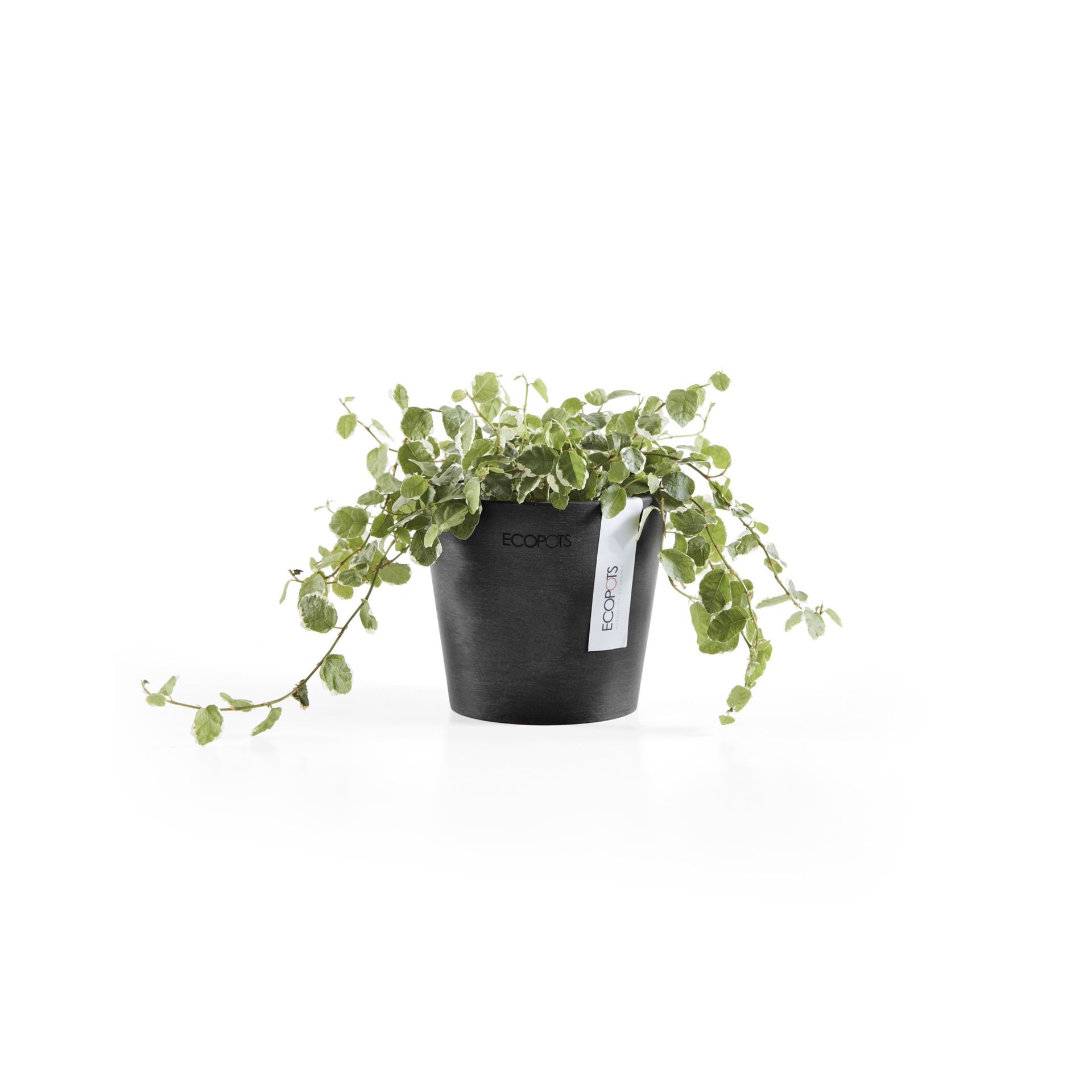 Ecopots-amsterdam-mini-dark-grey-10-5-cm-H9-2-cm