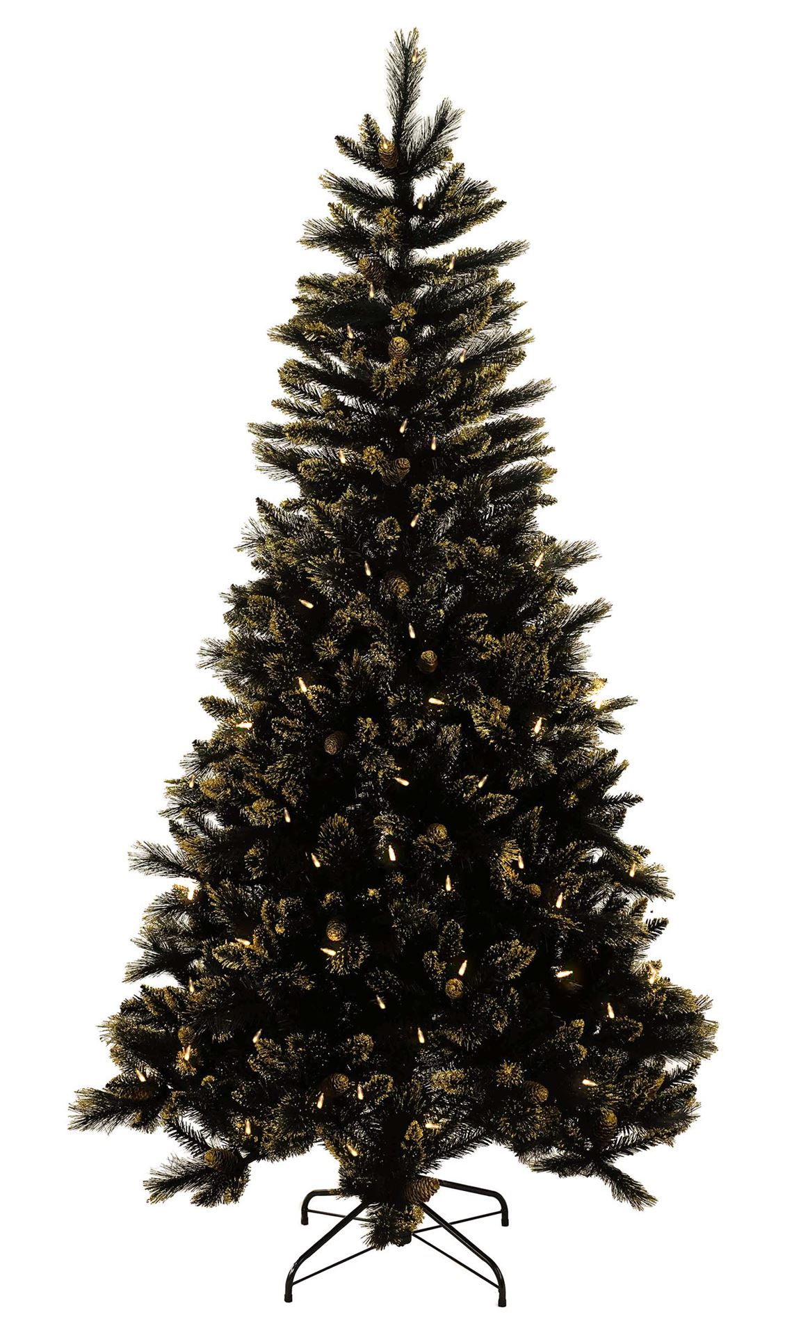 Shimmery-Golden-Black-Bristle-h228cm-500L