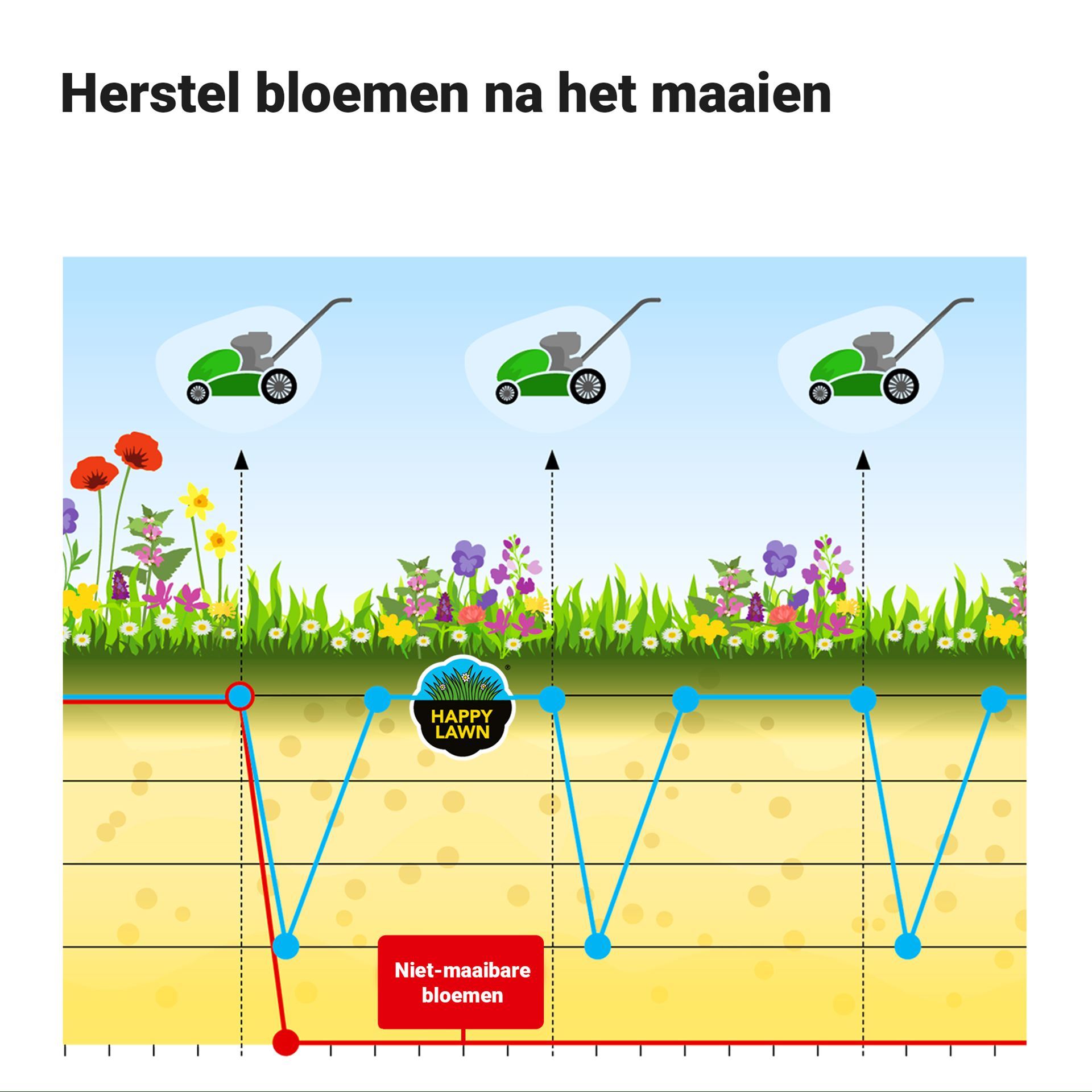 Happy-Lawn-5kg-geef-je-gazon-wat-extra-pit-250m2