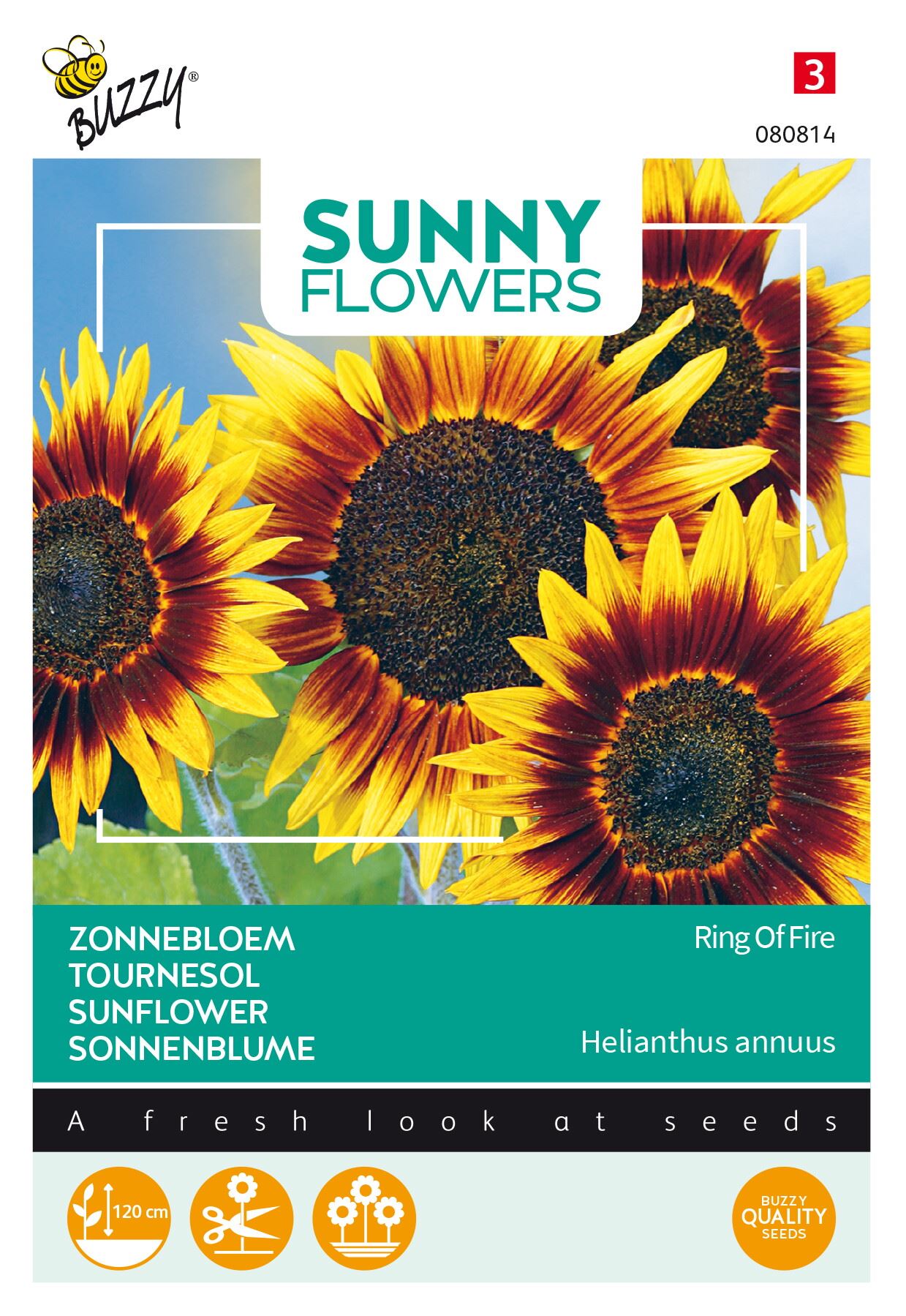 Buzzy-Sunny-Flowers-Zonnebloem-Ring-of-Fire