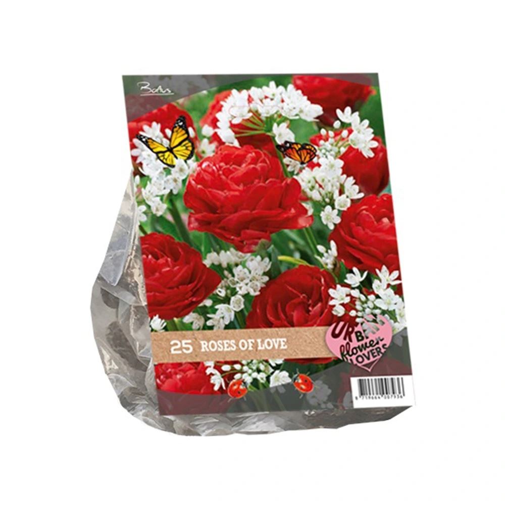 Urban-Flowers-Roses-of-love-per-25
