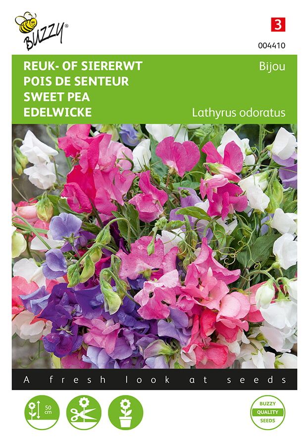 Buzzy-Lathyrus-Reuk-of-siererwt-Bijou