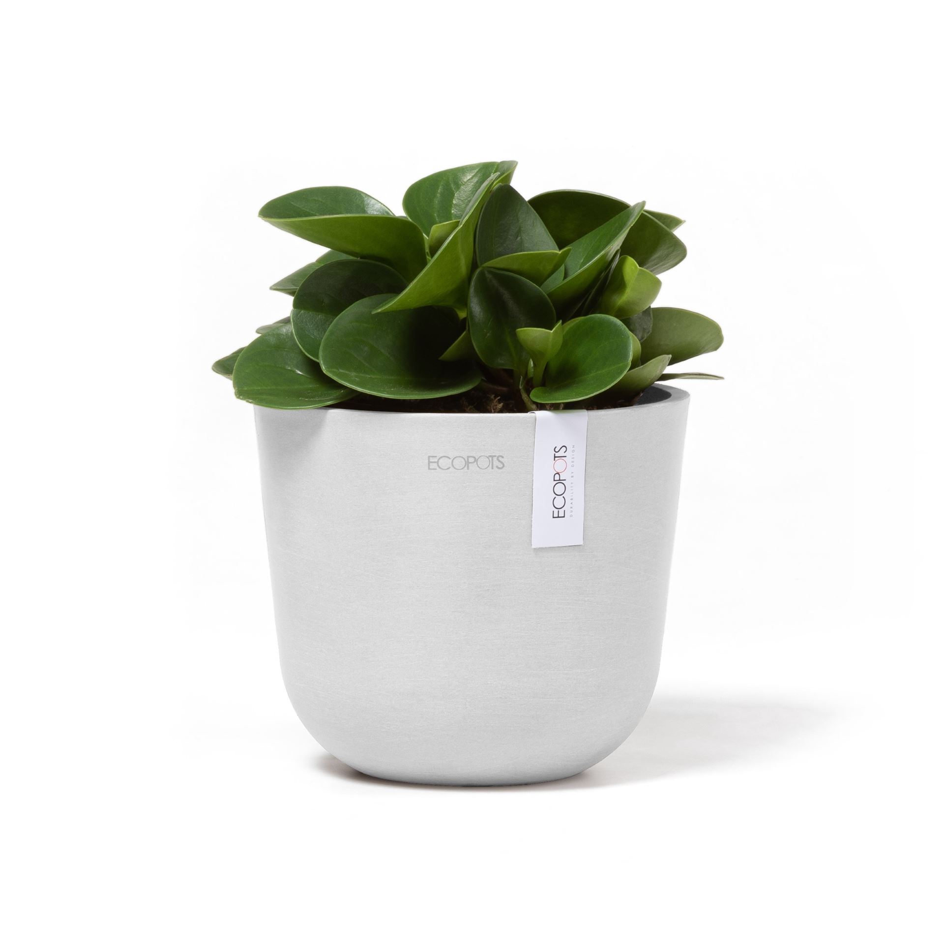 Ecopots-oslo-mini-pure-white-16-cm-H13-cm