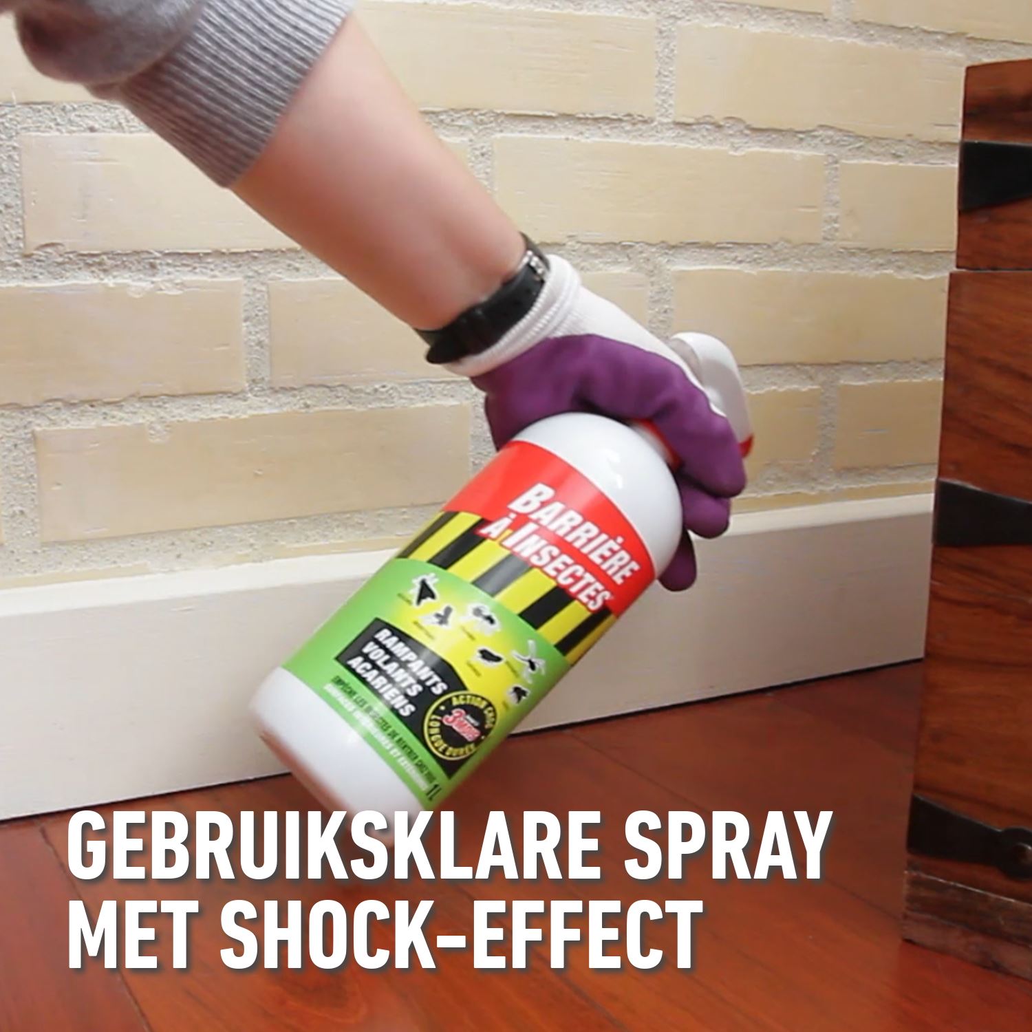 Barriere-insect-biosect-spray-1L