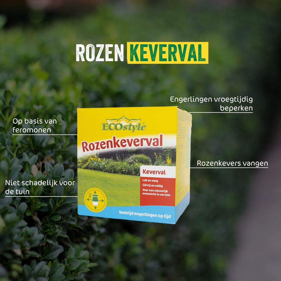 Trechterval-Rozenkever-1x-feromoon