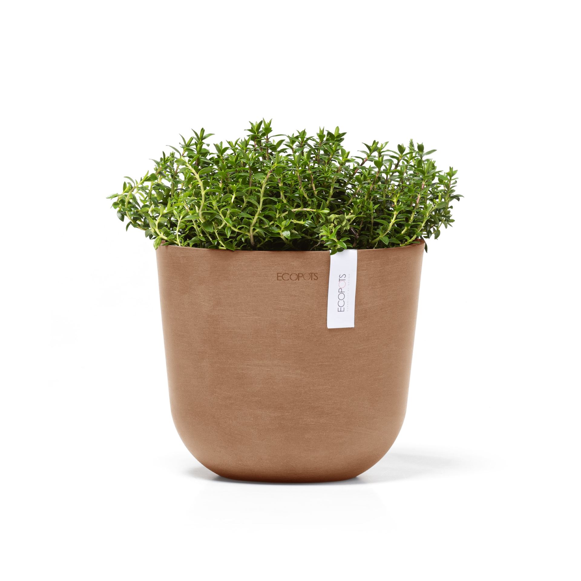 Ecopots-oslo-mini-terra-19-cm-H16-5-cm