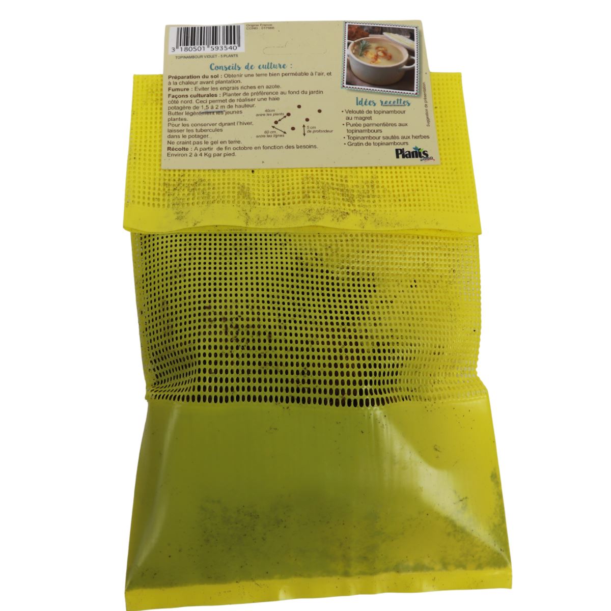 Aardpeer-5-knollen-topinambour-