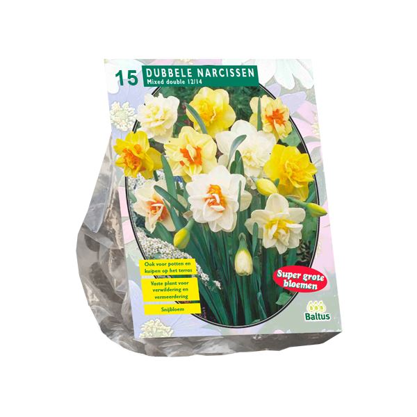 Narcis-Dubbel-Mix-per-15
