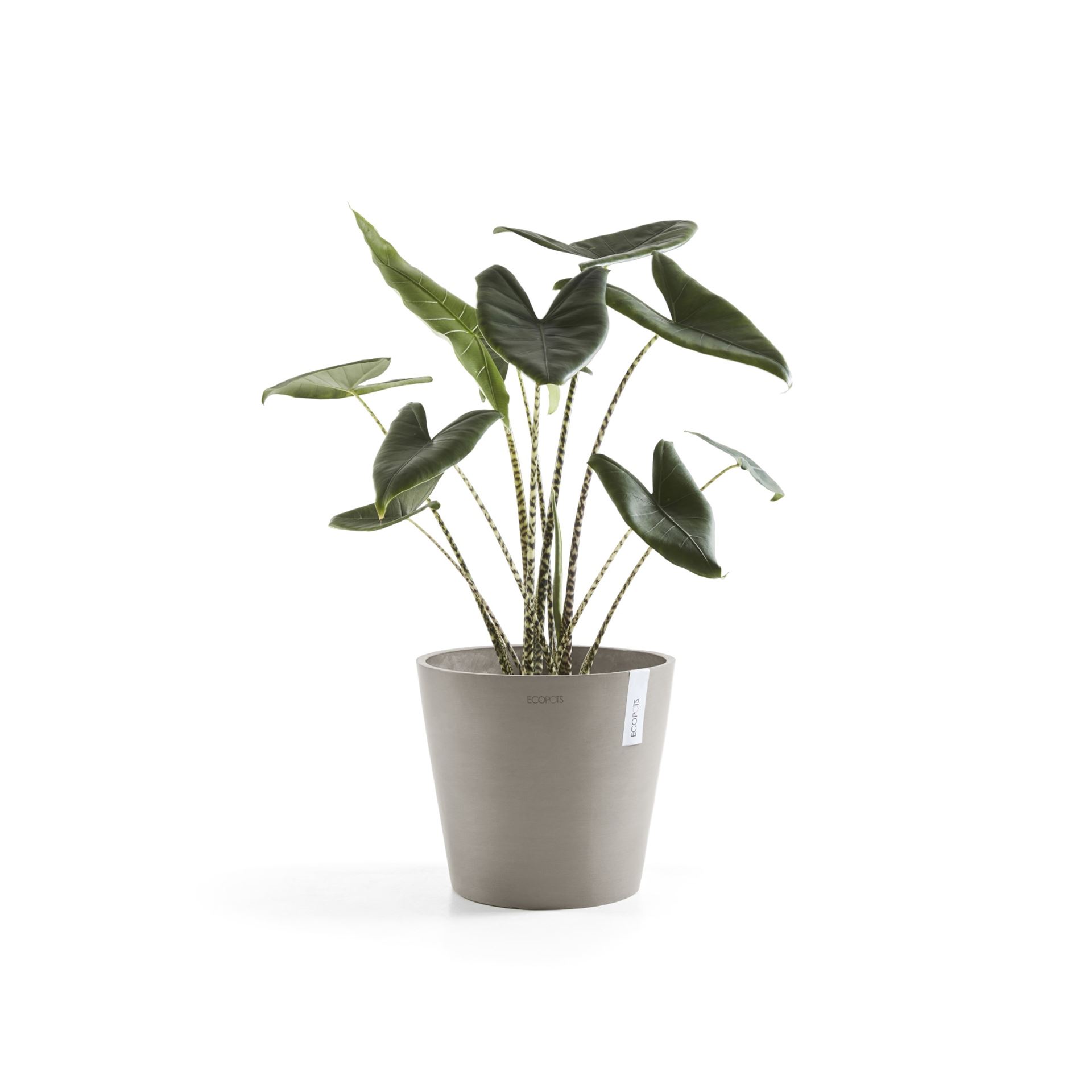 Ecopots-amsterdam-taupe-40-cm-H35-cm