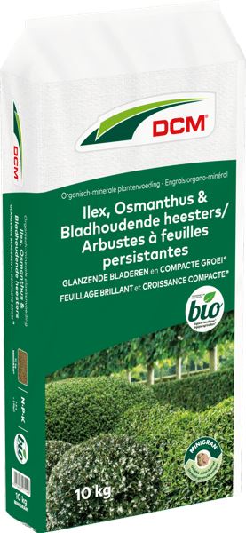 dcm-ilex-osmanthus-bladhoudende-heesters-10kg