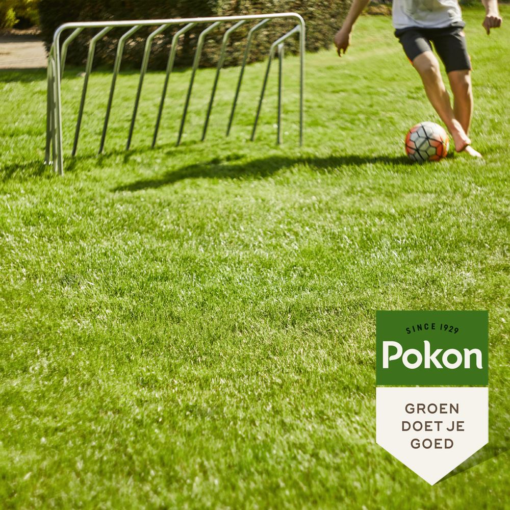 Pokon-Graszaad-Inzaai-1kg