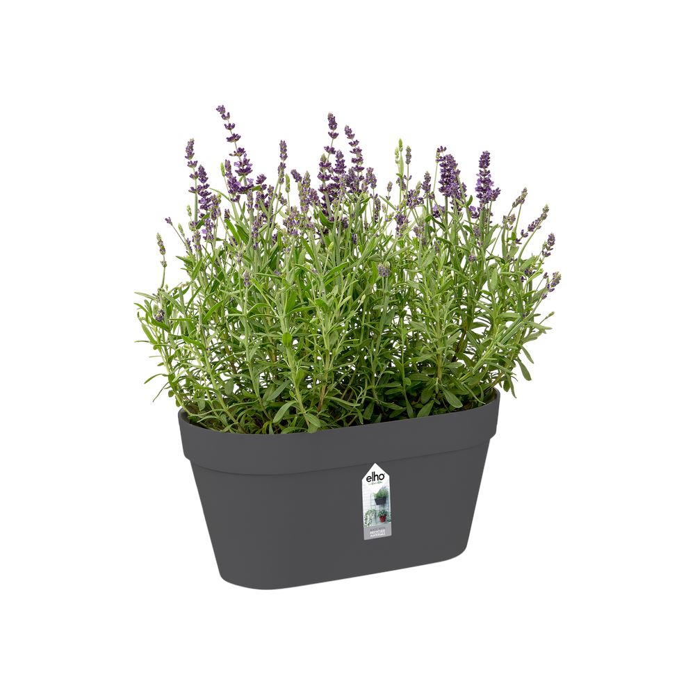 loft-urban-green-wall-duo-28cm-antraciet