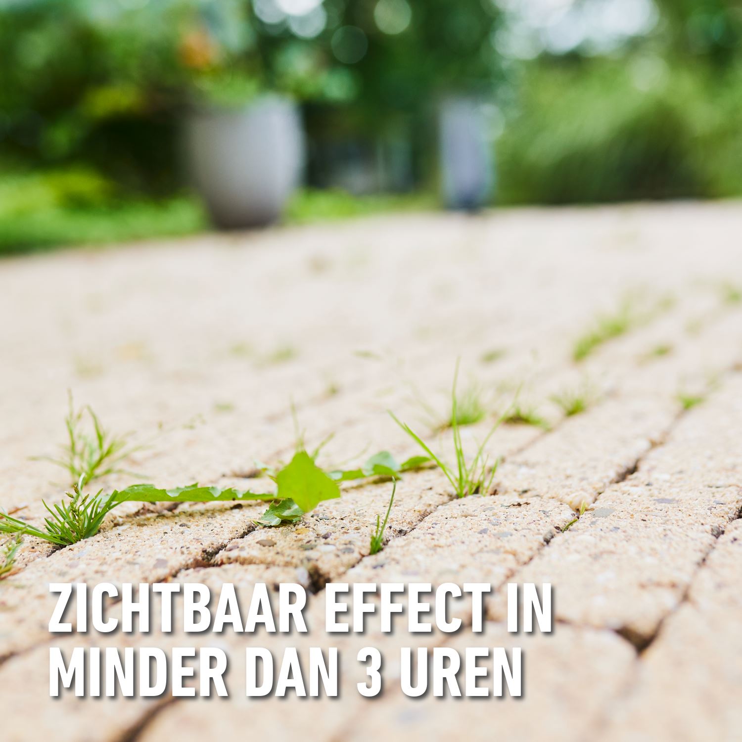 Herbistop-ready-paden-terrassen-25-m-2-5L