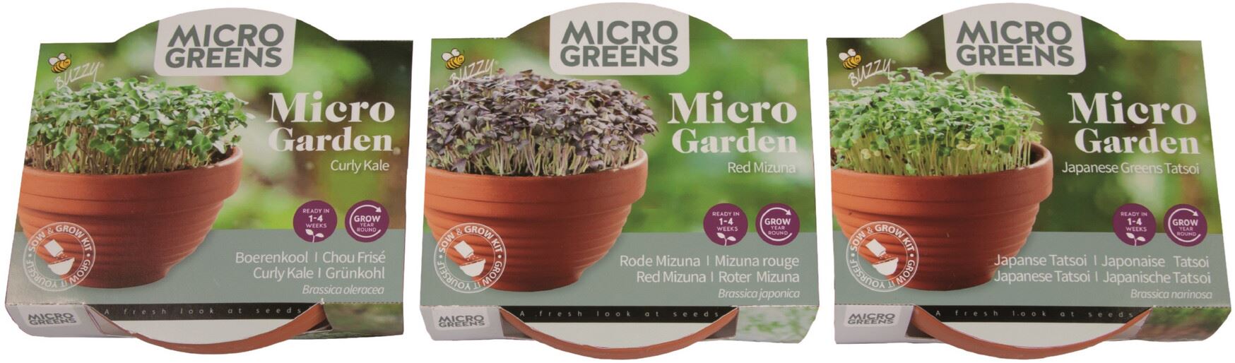 Buzzy-Microgreens-Terra-Schaaltje-Tatsoi