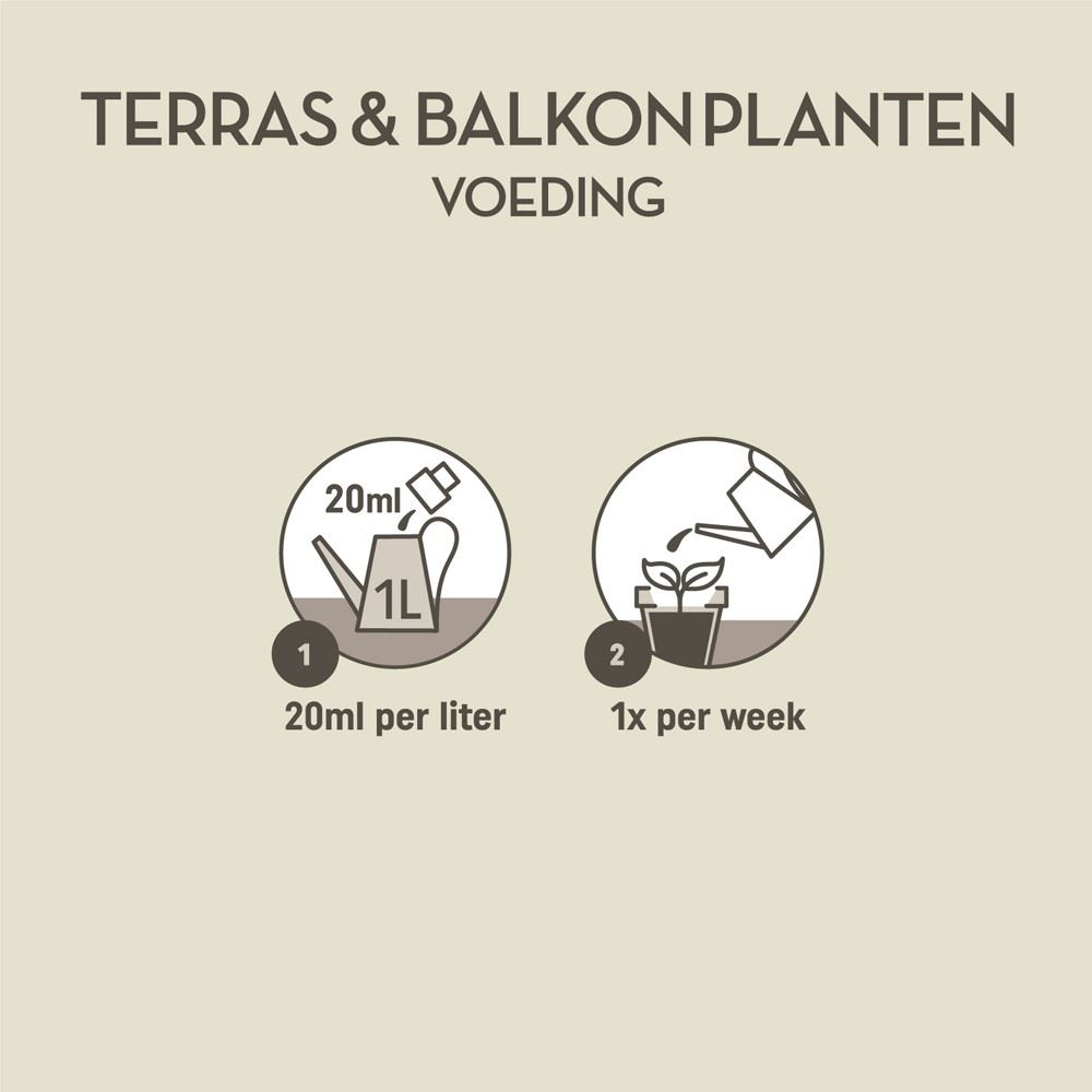 Pokon-Terras-Balkon-planten-Voeding-500ml