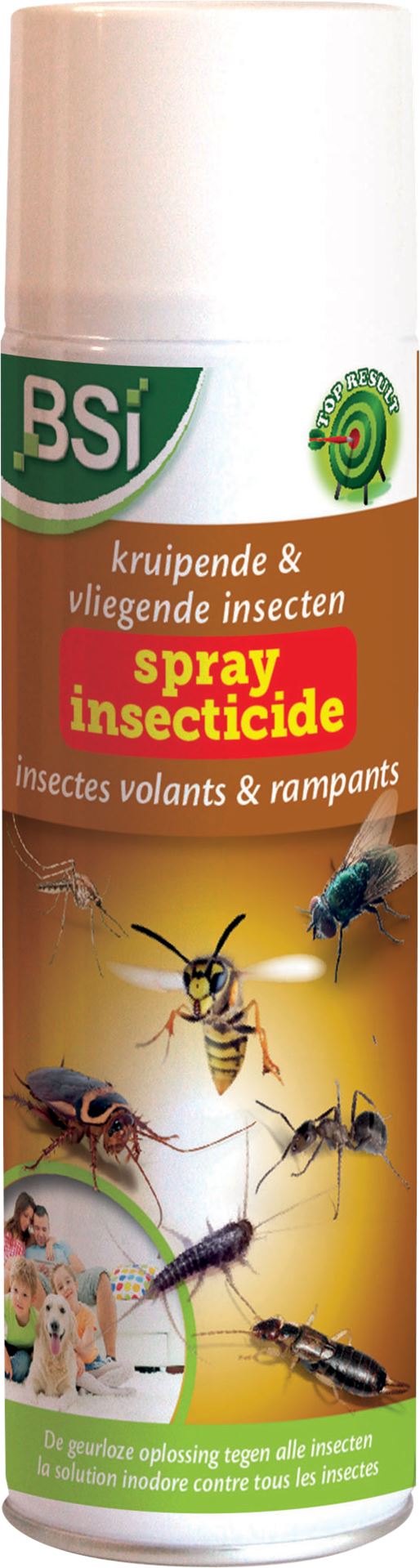 Insecticide-spray-tegen-vliegende-en-kruipende-insecten-500ml-krachtig-insecticide-tegen-vliegende-e