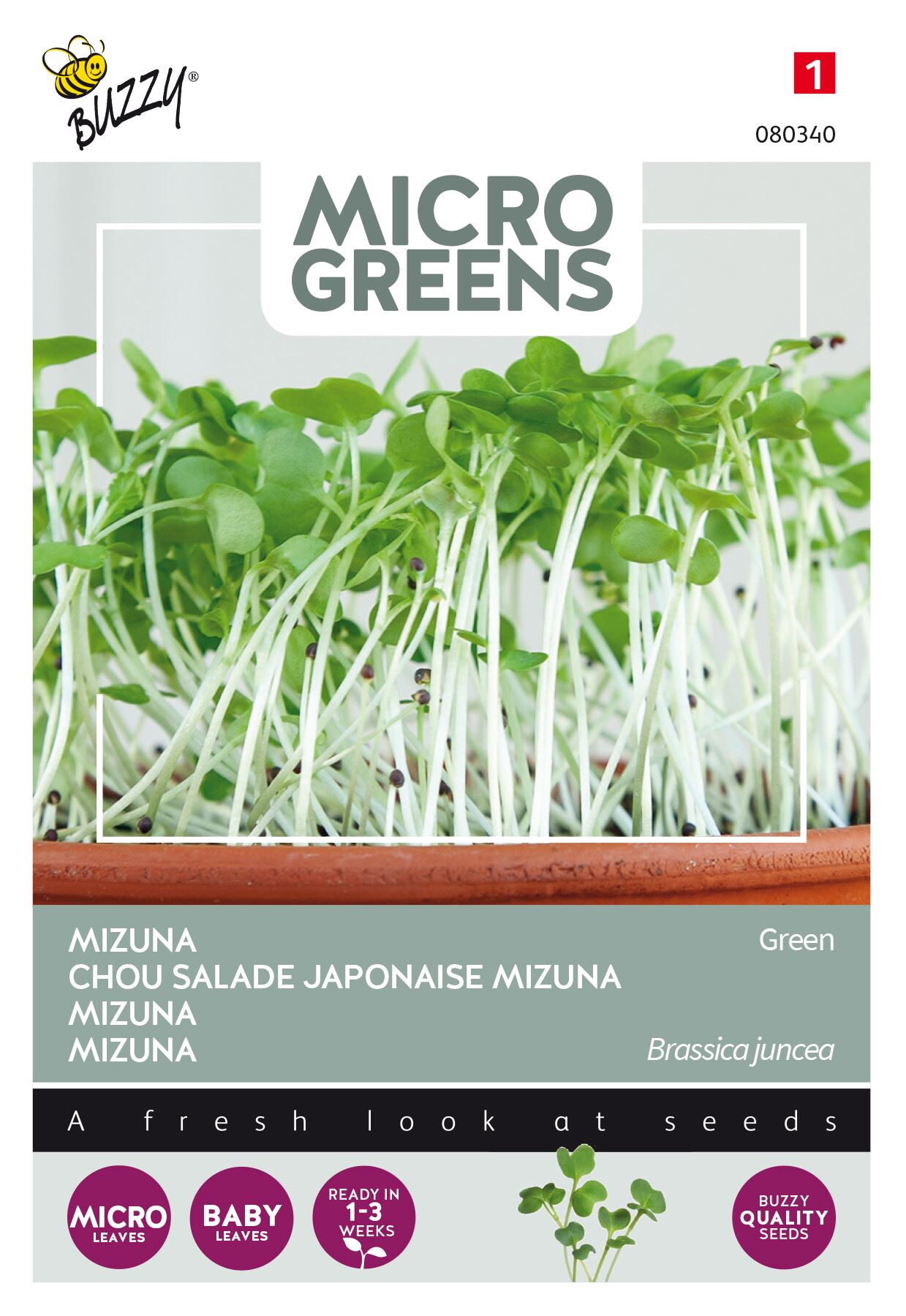 Buzzy-Microgreens-Mizuna-green