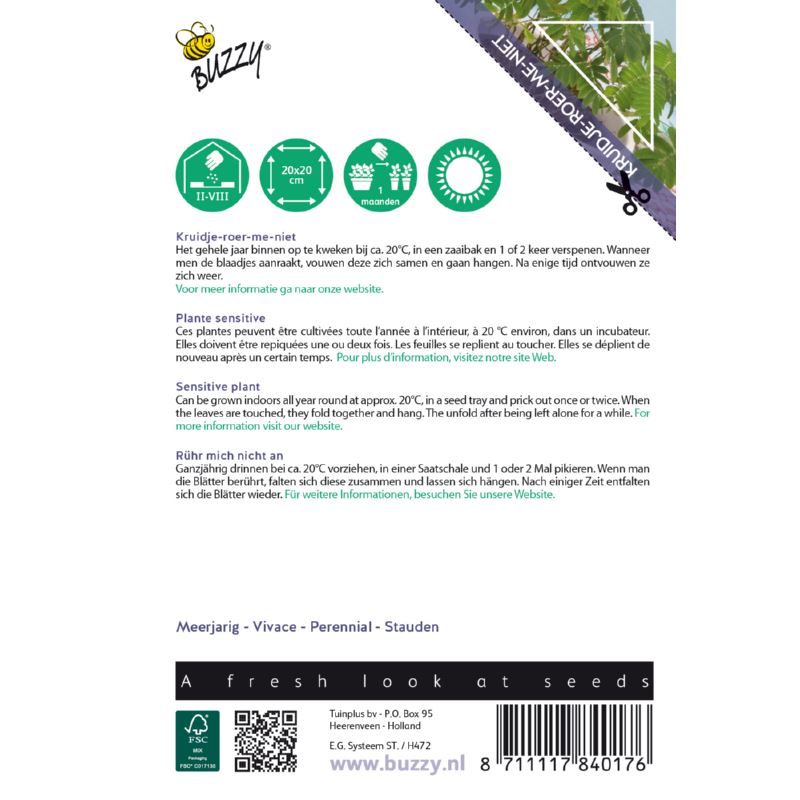 Buzzy-House-Plants-Mimosa-pudica-kruidje-roer-me-niet
