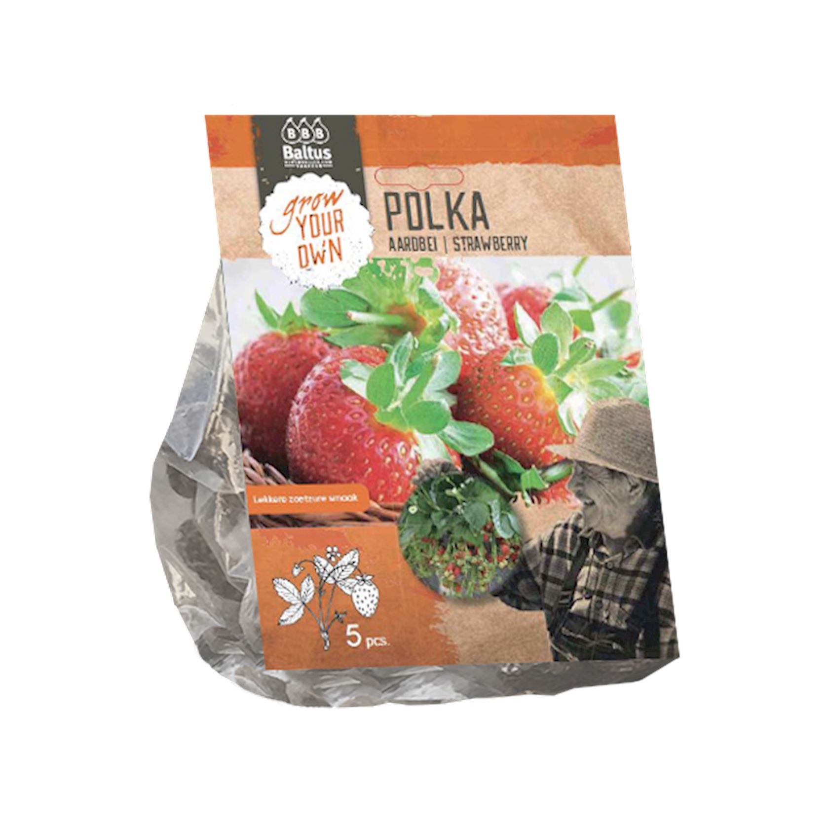aardbei-polka-per-5