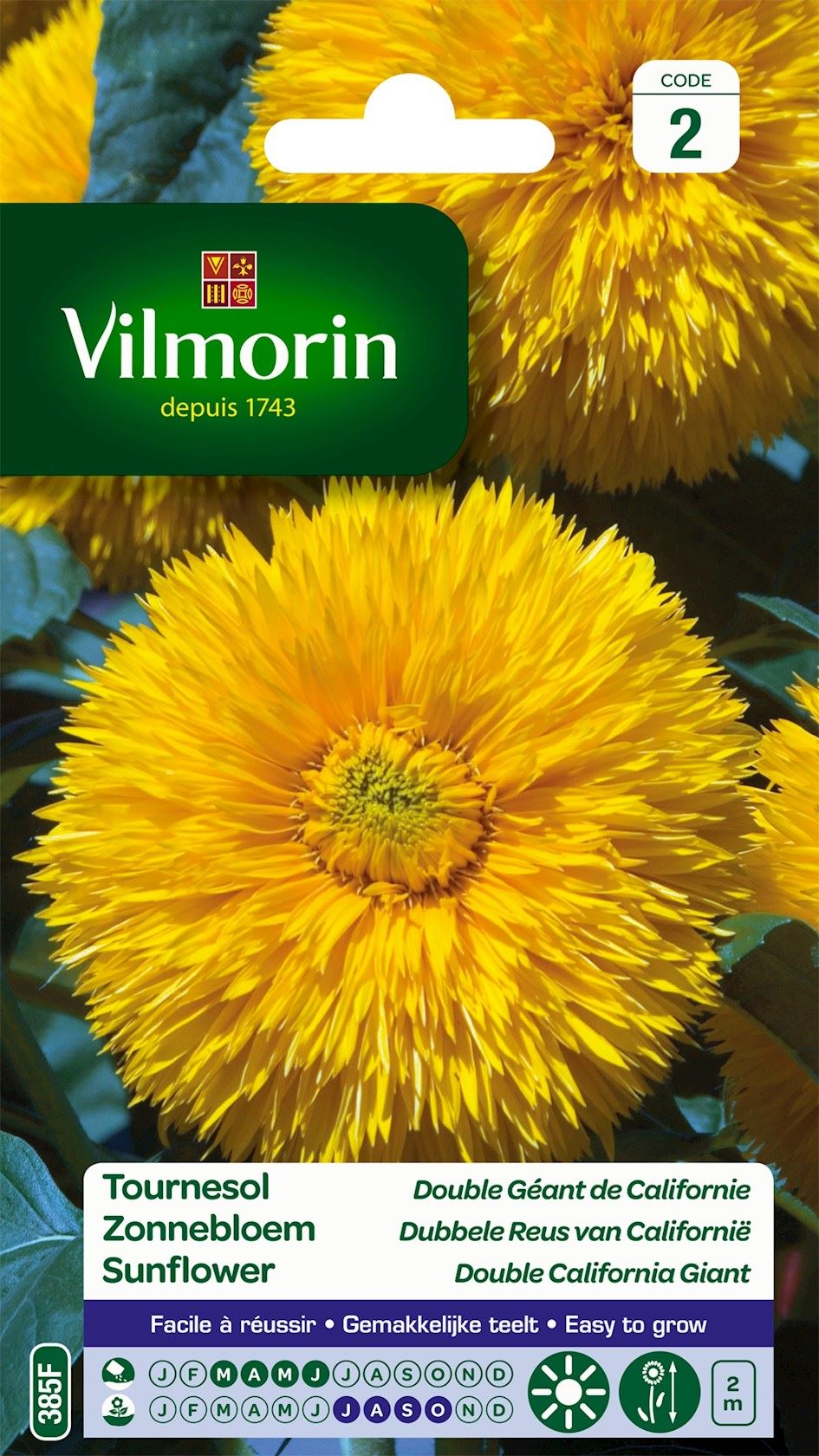 zonnebloem-dubbele-reus-v-californie