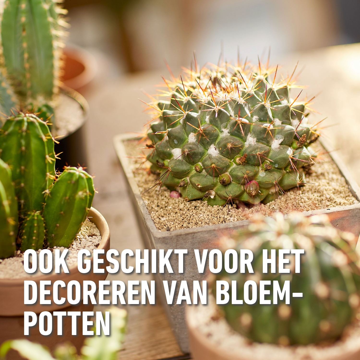 Granuplant-Cactussen-Vetplanten-3L