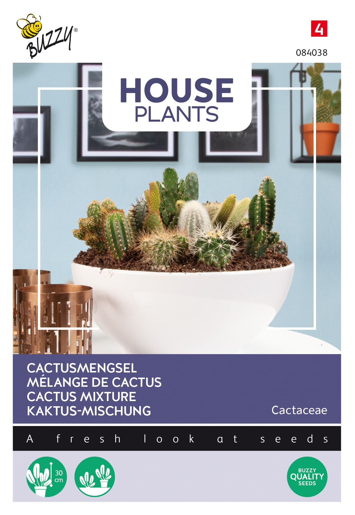 Buzzy-House-Plants-Cactus-Mengsel