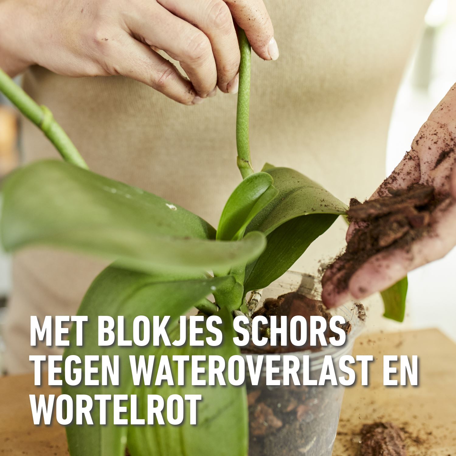 Compo-sana-orchideeenpotgrond-5L