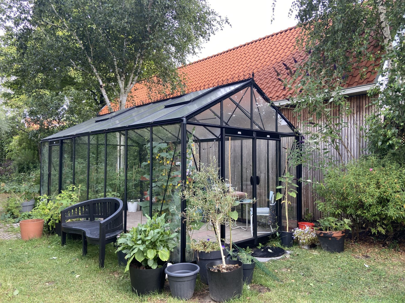 Serre ACD Prestige R308XH -3,06 x 5,93m - extra haut - Blackline