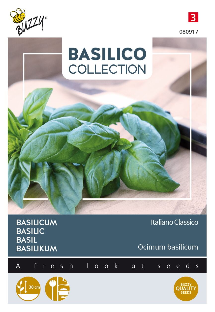 Buzzy-Basilicum-Italiano-Classico