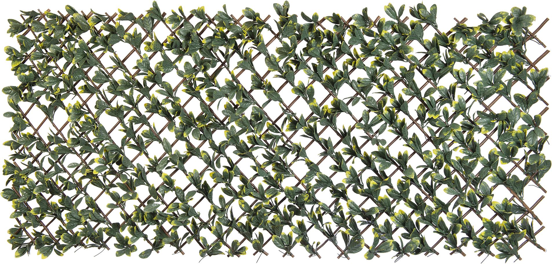wilgen-klimrek-met-pe-laurierblad-bladeren-662-groene-gele-kleuren-gaas-7x7-cm-h90-x-180-cm
