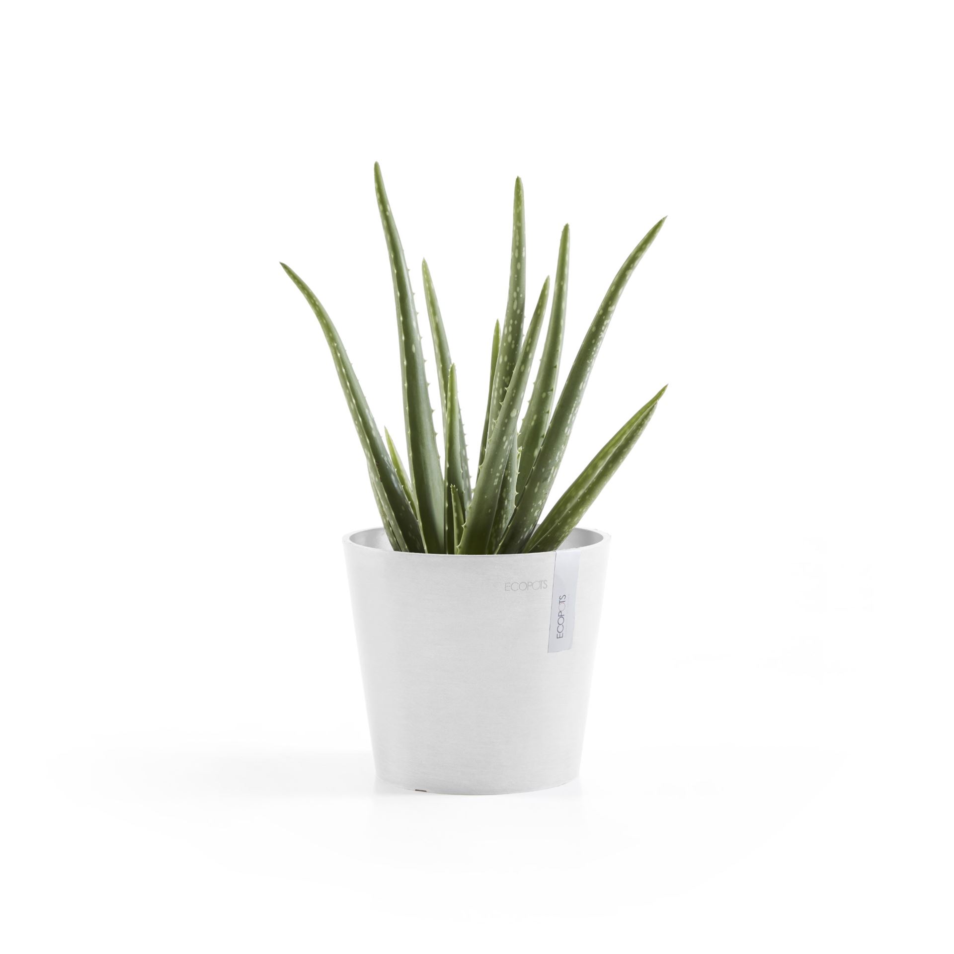 Ecopots-amsterdam-mini-pure-white-17-cm-H14-9-cm