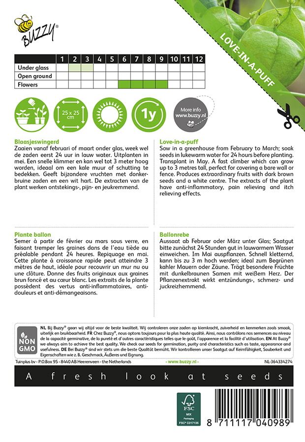 Buzzy-Cardiospermum-halicacabum