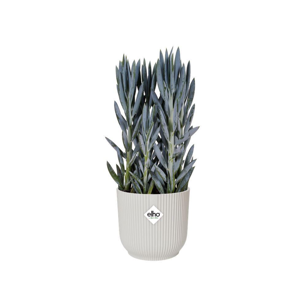 Bloempot-vibes-fold-rond-wielen-35cm-zijdewit