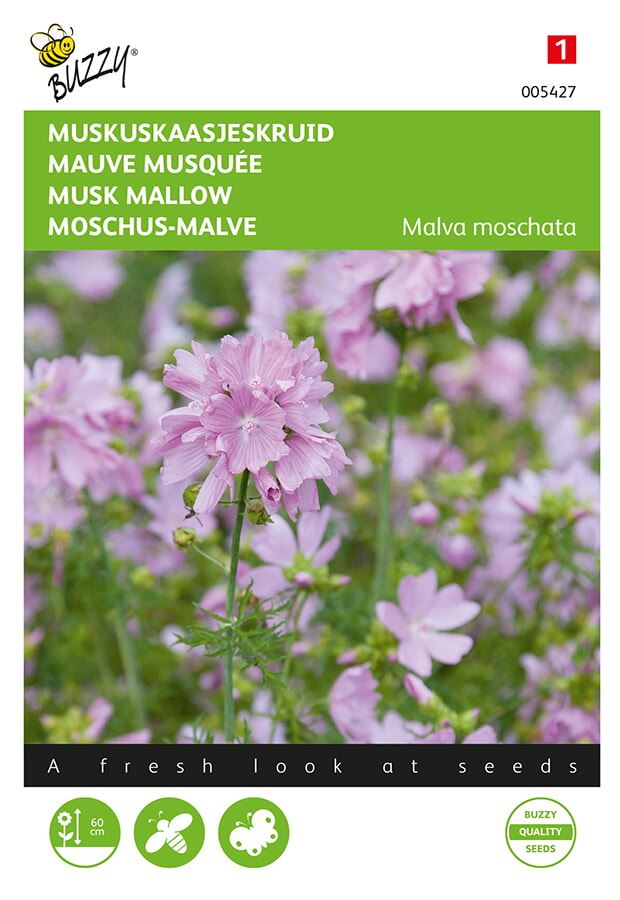 Buzzy-Malva-Muskus-Kaasjeskruid-roze