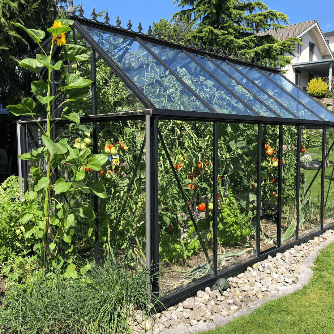 De 4 meest gemaakte fouten bij het kiezen van een serre