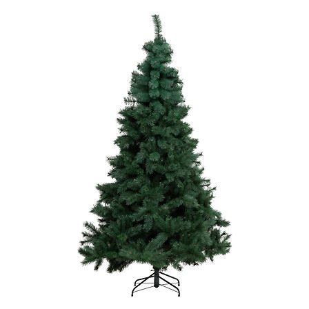 Kerstboom-Windy-Peak-H300cm