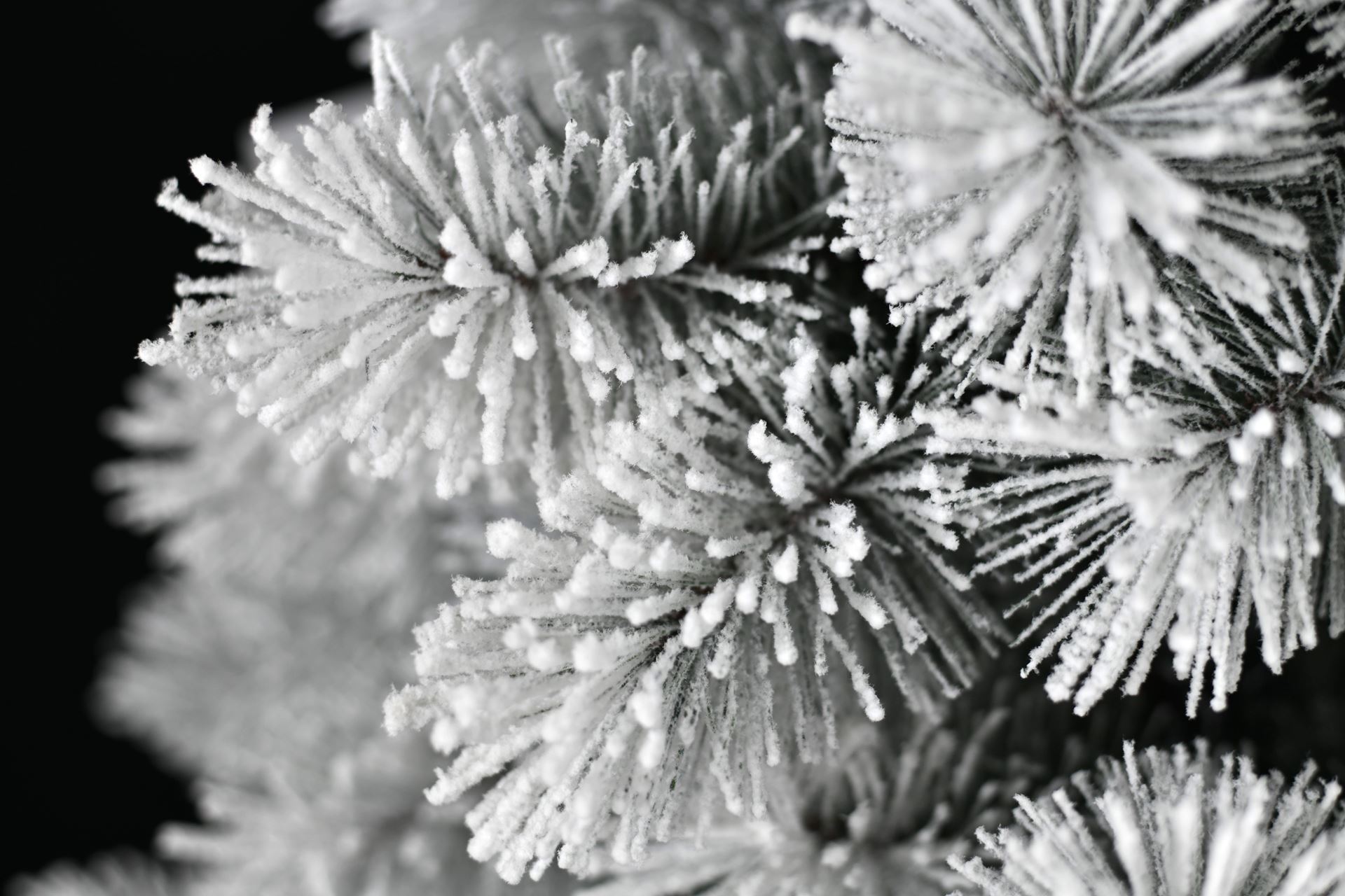 Oregon-Flocked-needle-pine-hinged-210cm