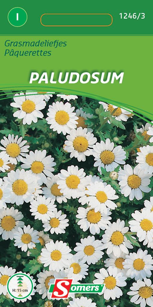 grasmadeliefjes-palusodum